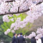 社員の声