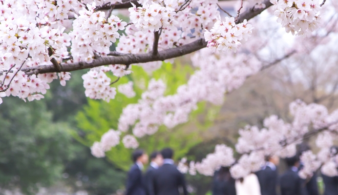 社員の声