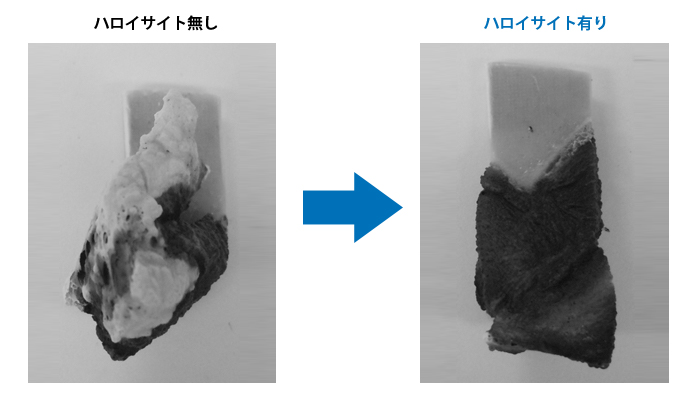 EEAにハロイサイトを添加したものと、添加していないものの比較