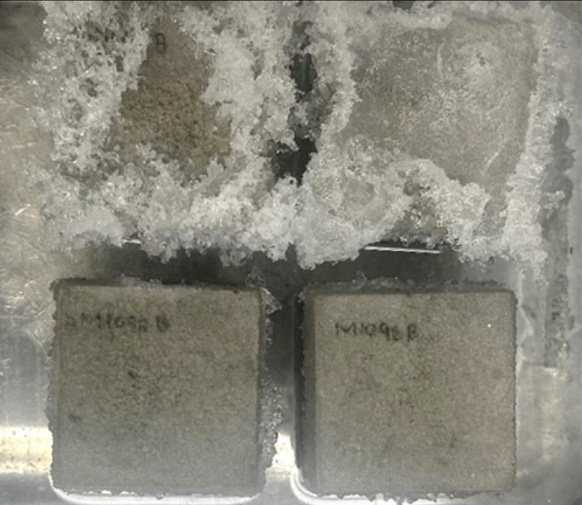 Exposure to 18.5% sulfate solution for 1 month