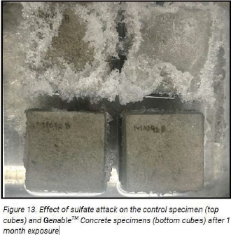 Effect of sulfate attack on the control specimen(top cubes) and Geneble Concrete specimens(bottom cubes) after 1 month exposure